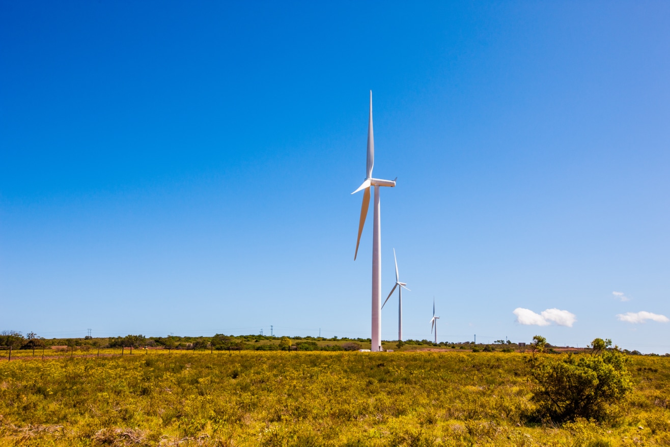 Climate Fund and KLP invest in large Indian wind power plant 