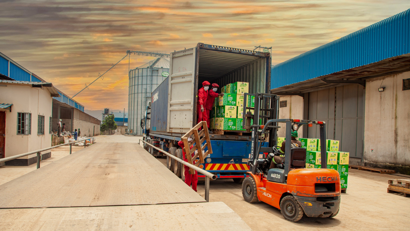 Soymilk production to create jobs and increase food access in Zambia