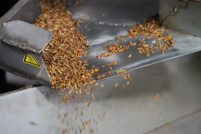 Case study: Norfund’s investment in Novastar grows circular waste business in Nairobi