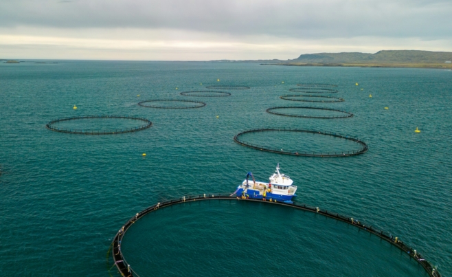 Investment in fish farming to create jobs and food security in Ghana