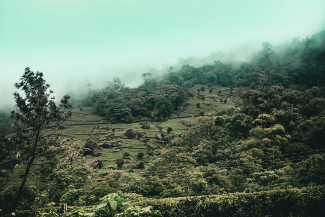 Climate Smart Fund scales to tackle deforestation and climate adaptation in Indonesia
