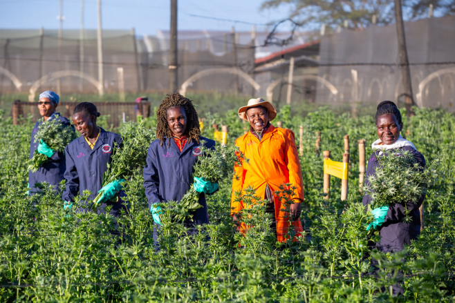 Case study: Growing people growing flowers